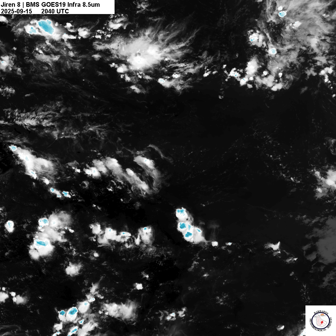 Latest 8.4um