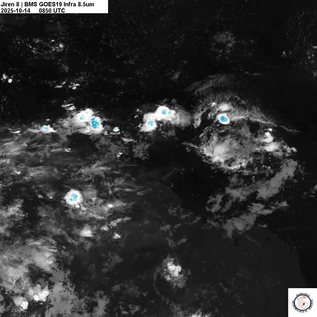 Latest 8.4um