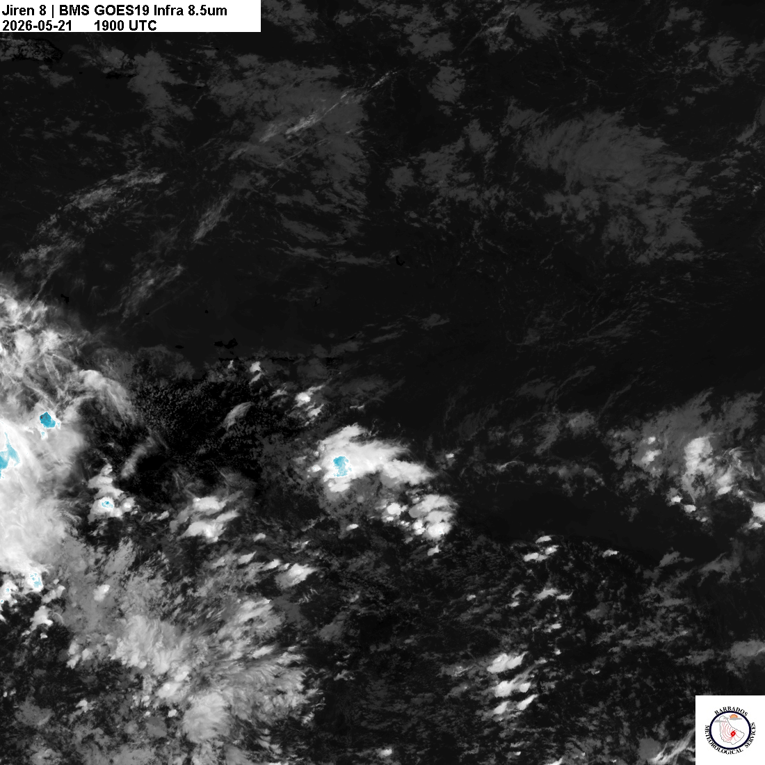 Latest 8.4um