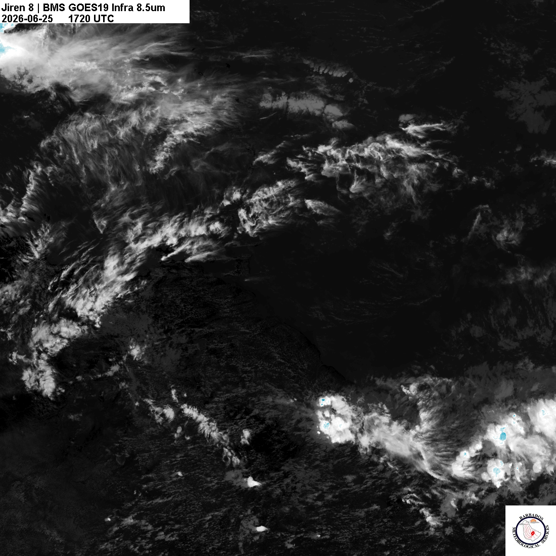 Latest 8.4um