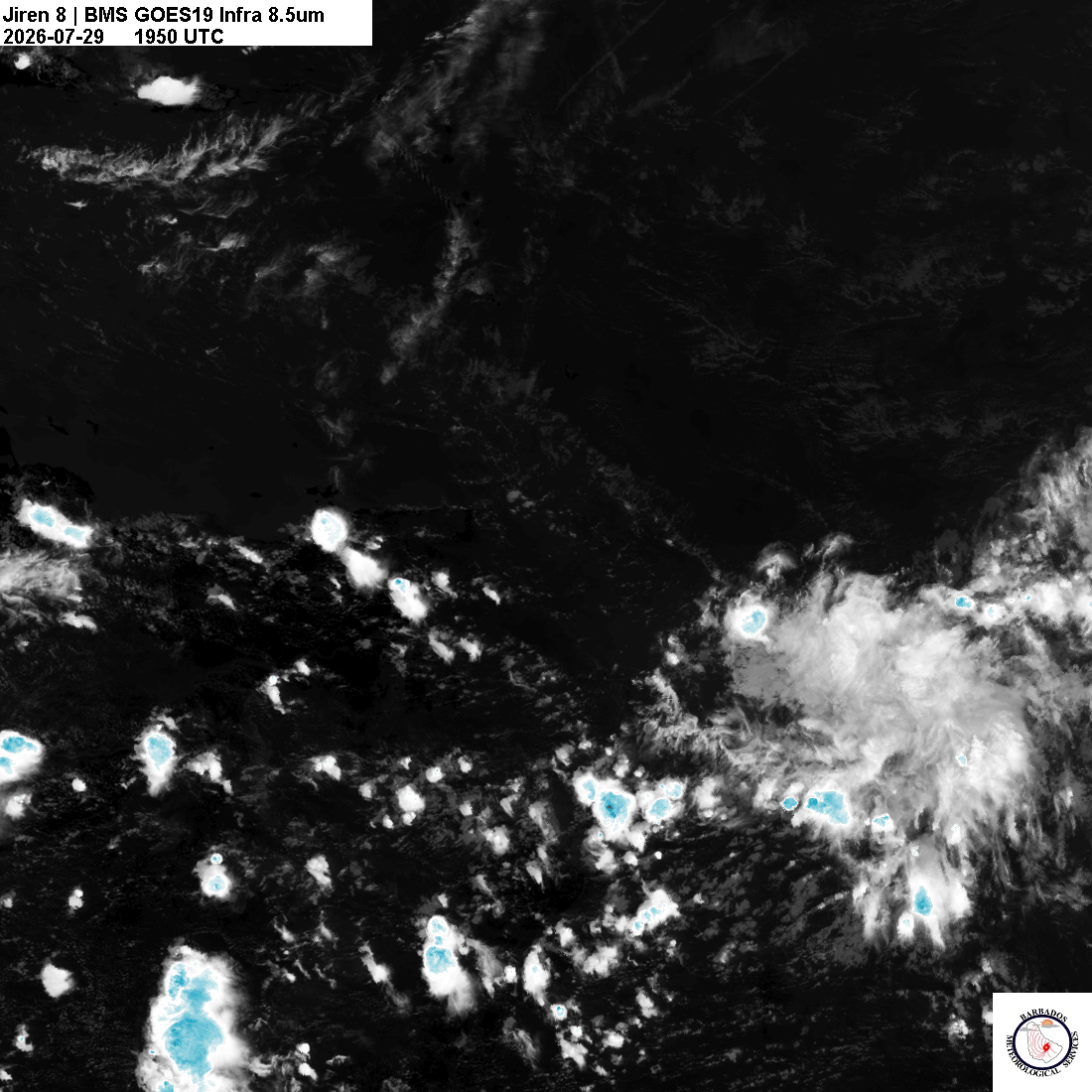 Latest 8.4um
