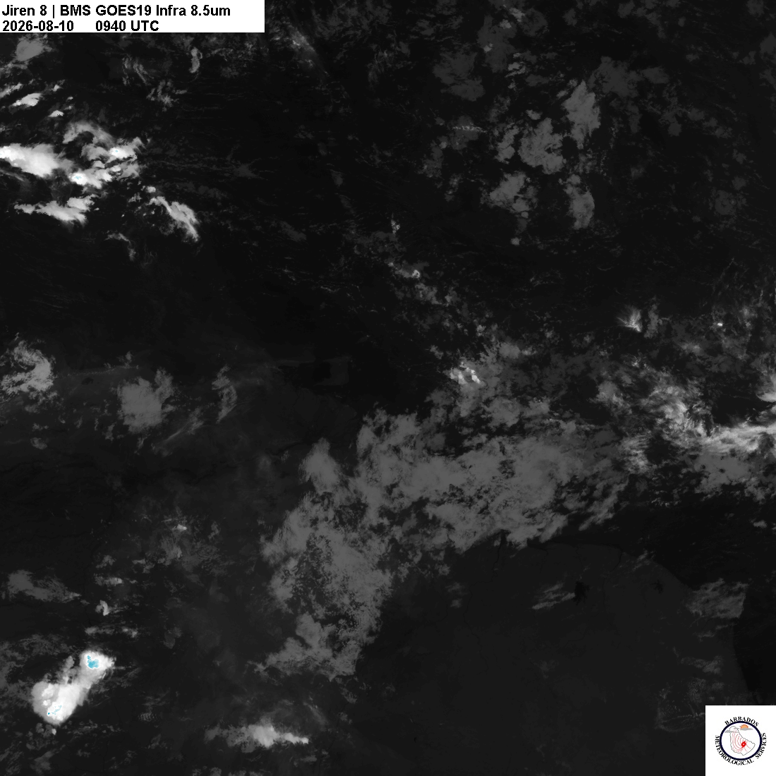 Latest 8.4um