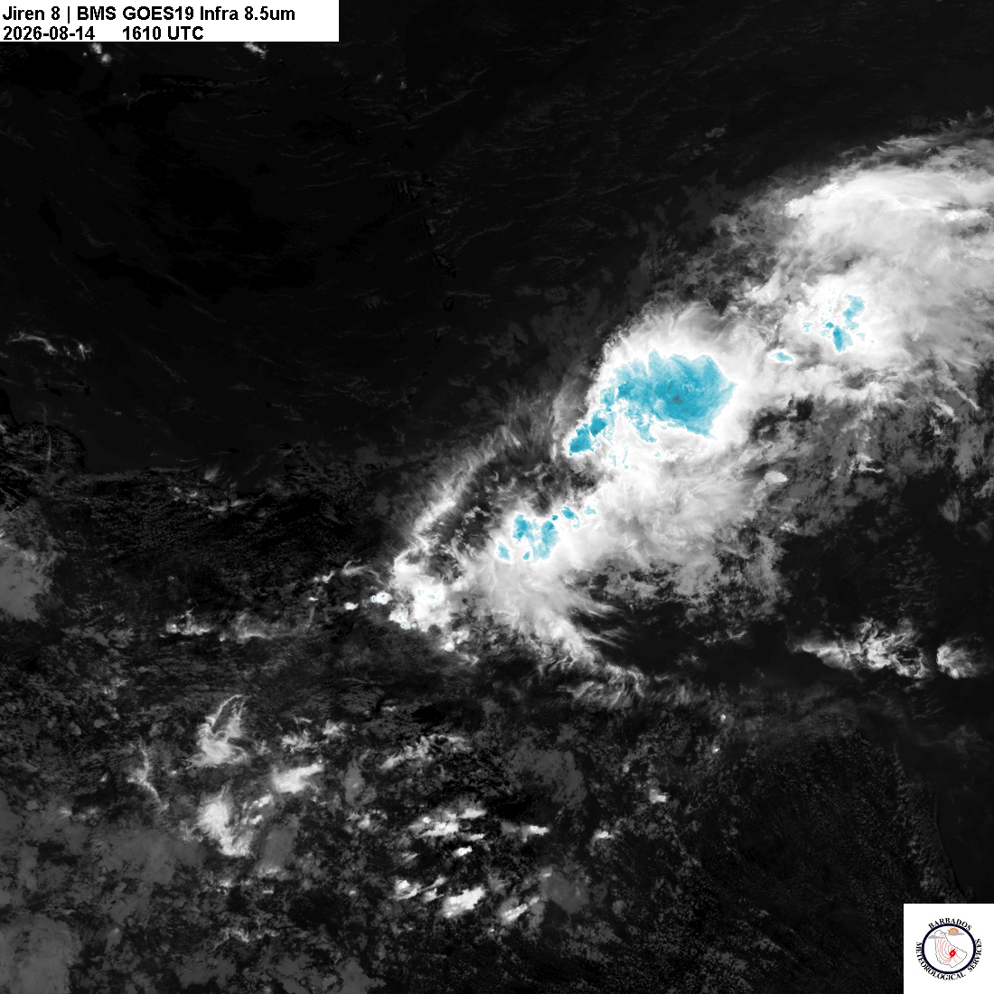 Latest 8.4um