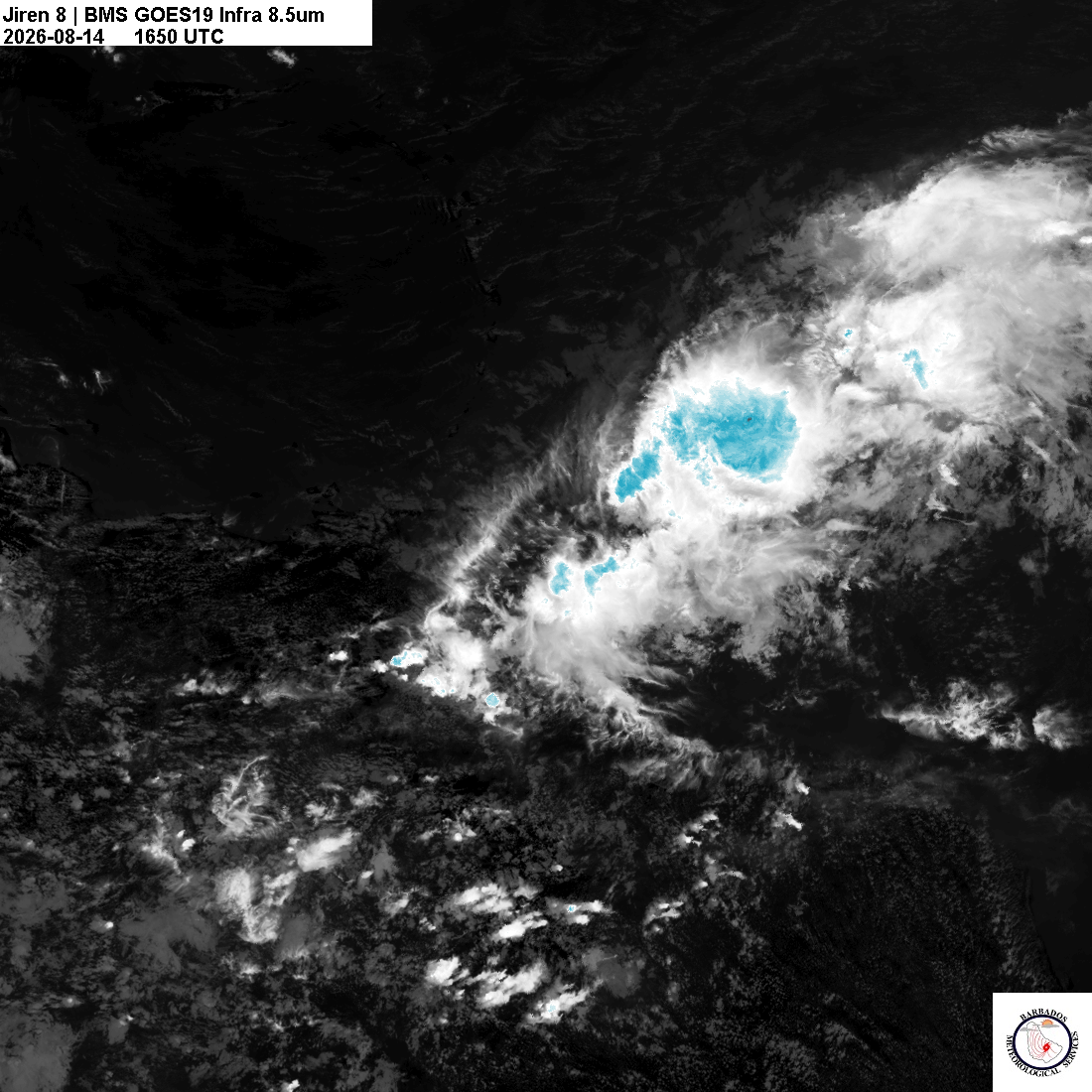 Latest 8.4um