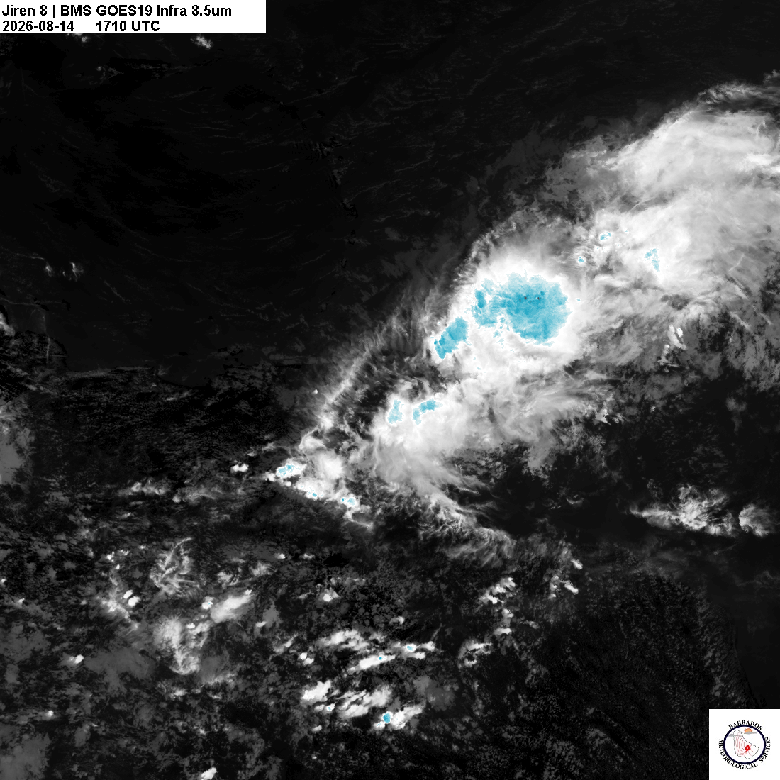 Latest 8.4um