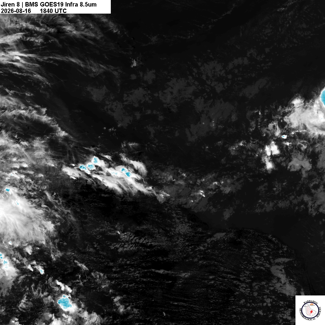 Latest 8.4um