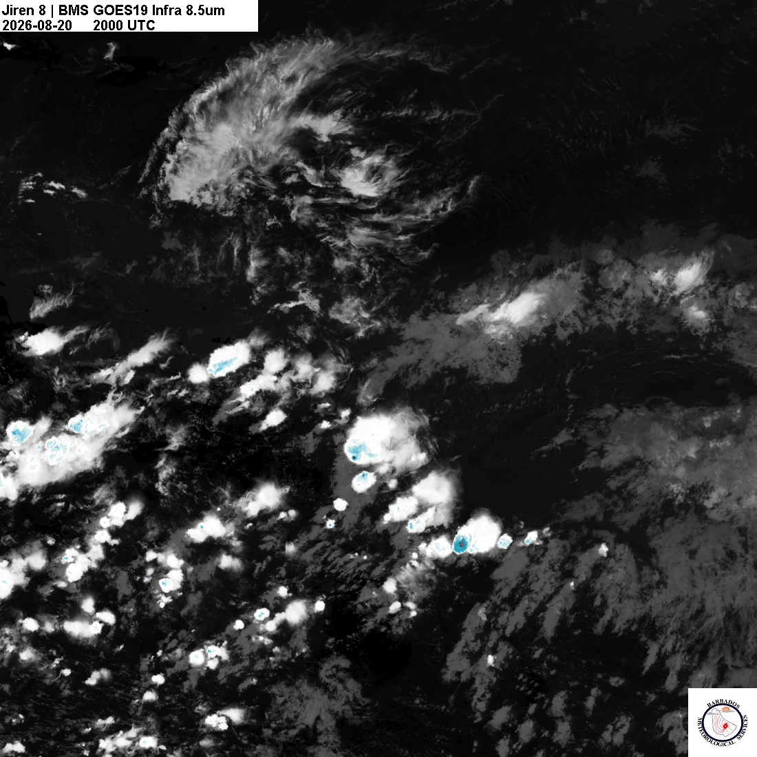 Latest 8.4um