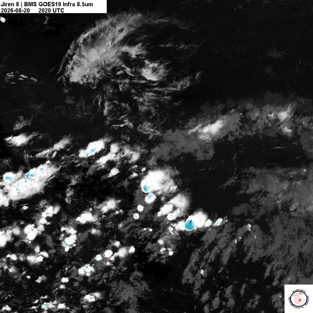 Latest 8.4um