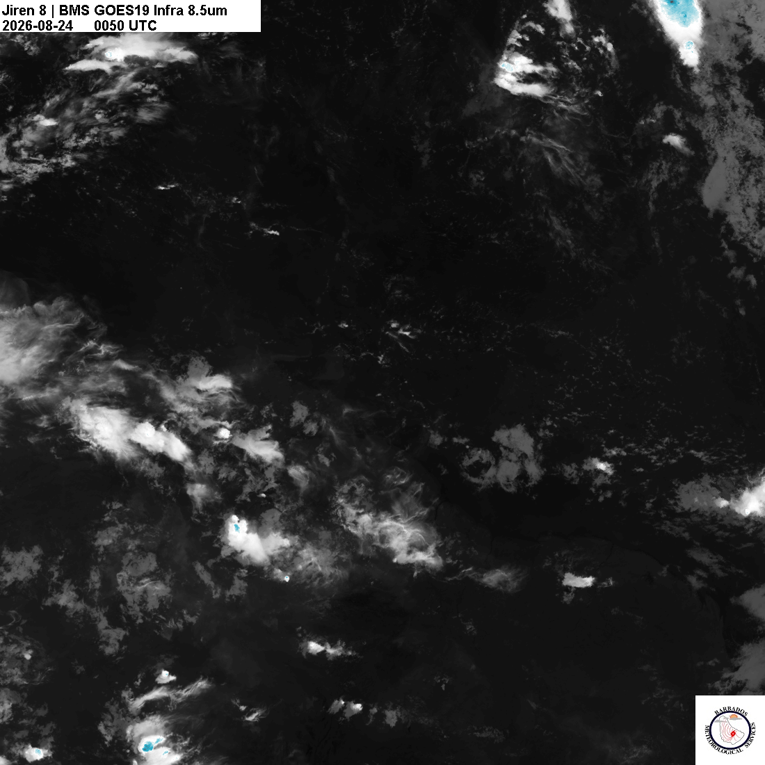 Latest 8.4um