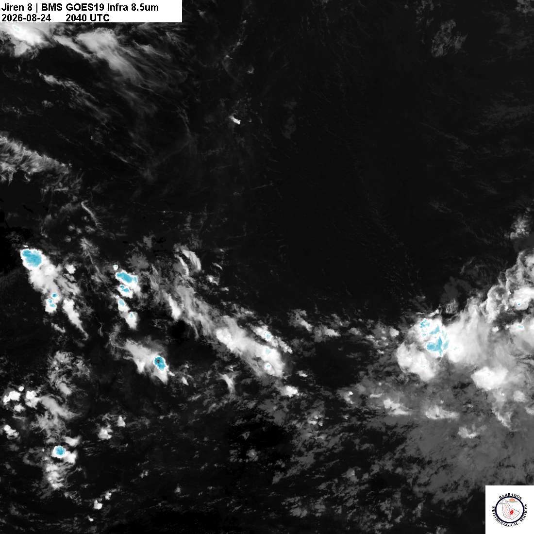 Latest 8.4um