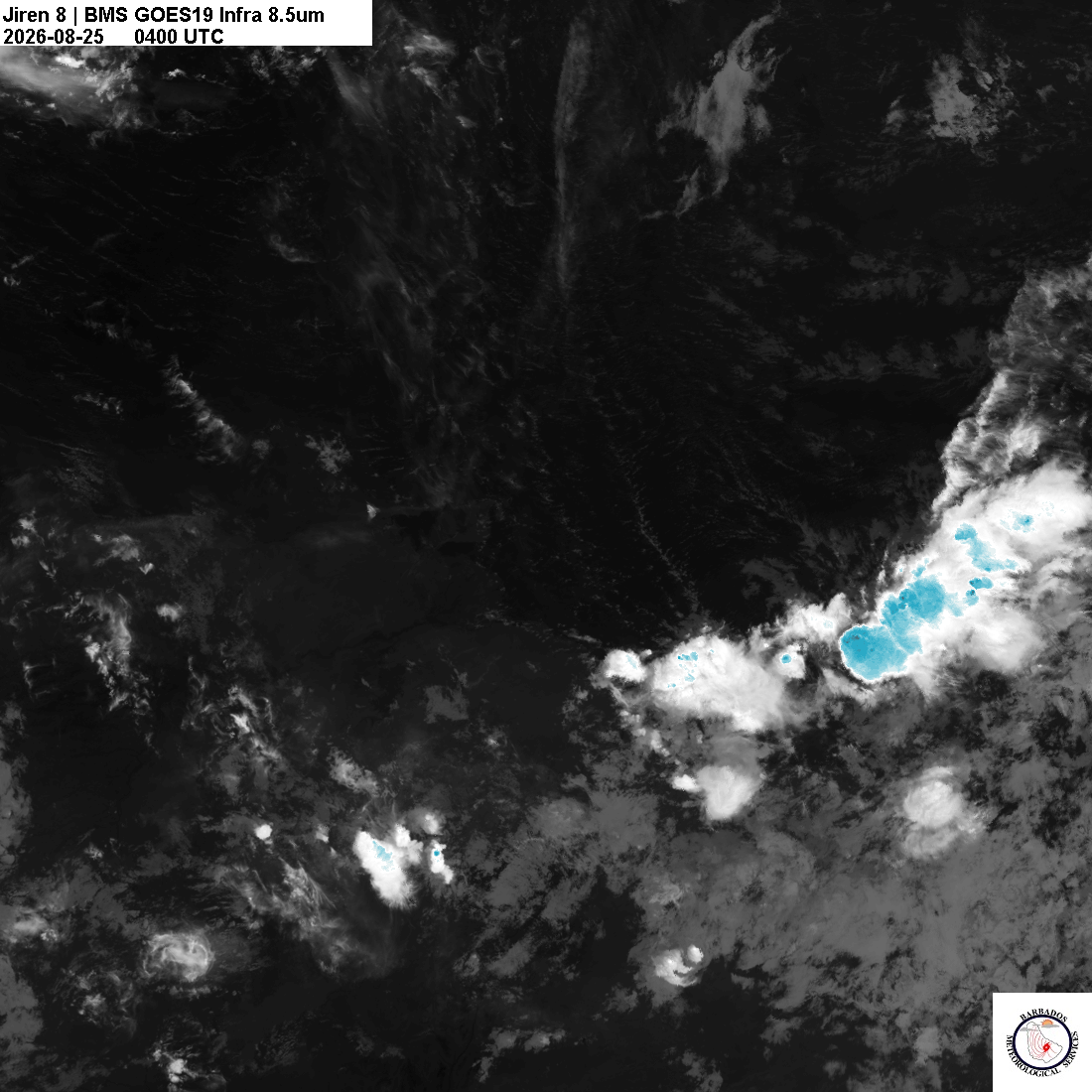 Latest 8.4um