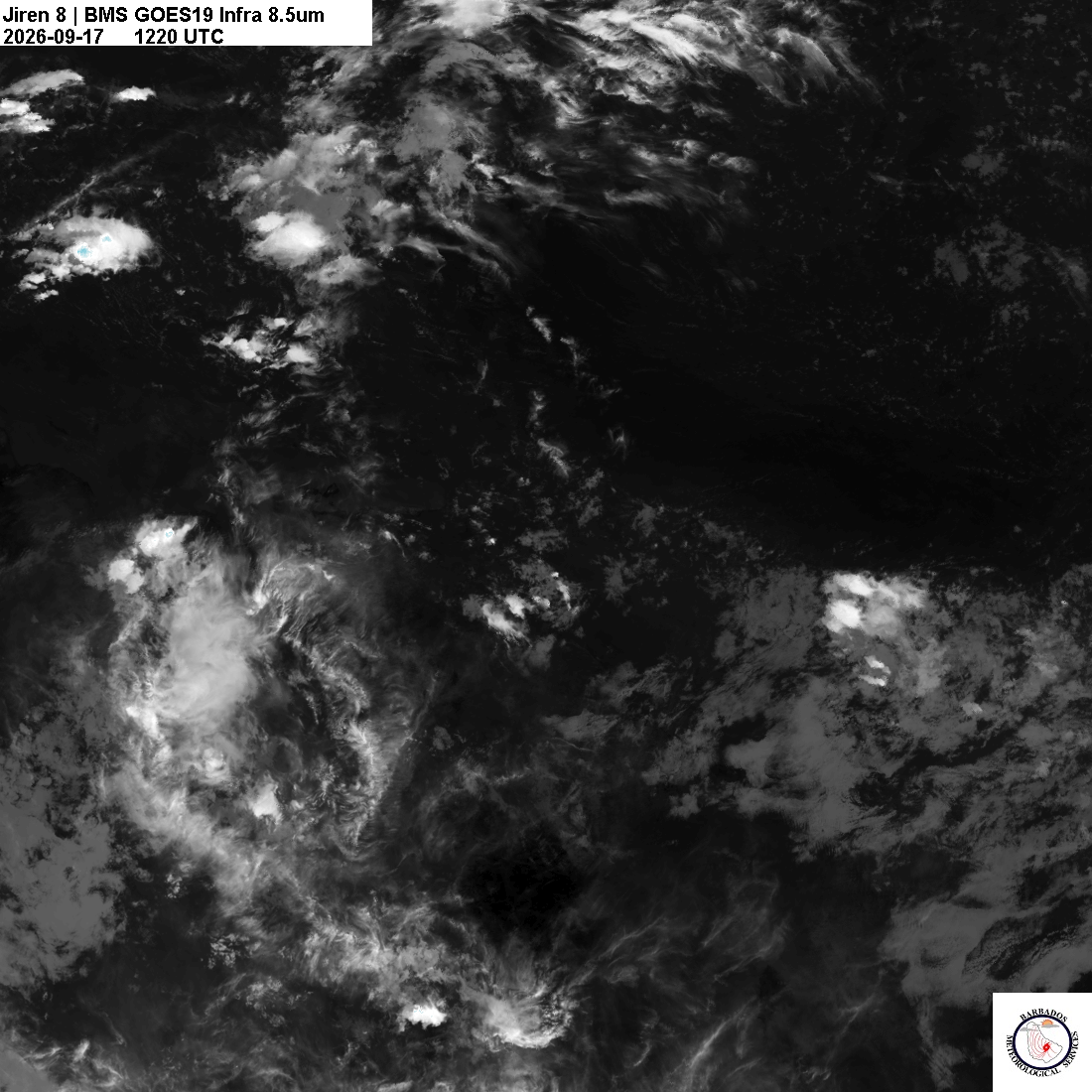 Latest 8.4um
