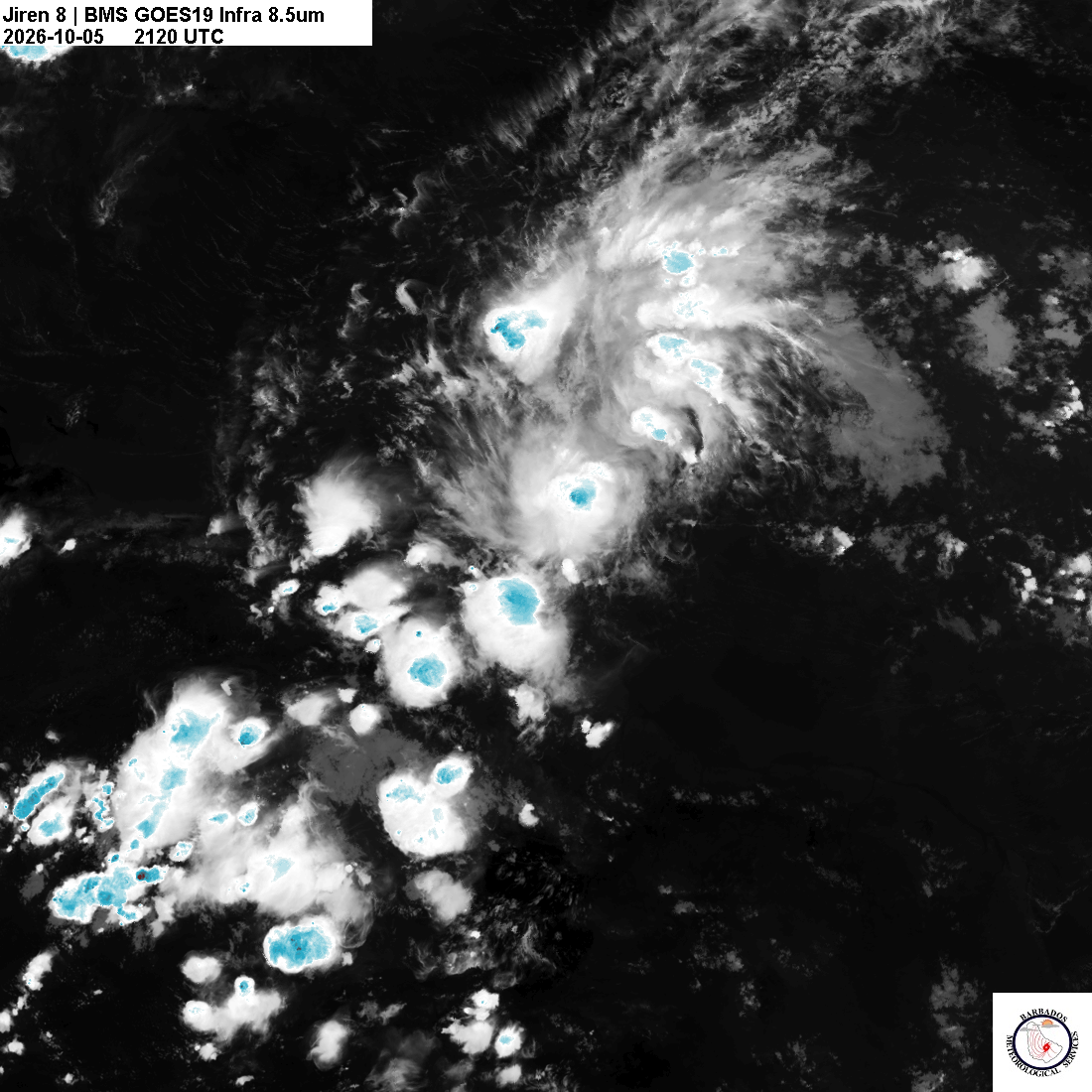 Latest 8.4um