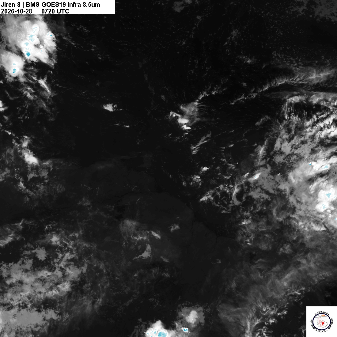 Latest 8.4um